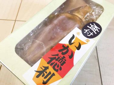 【いか徳利】お花見やグループキャンプにどうでしょう？