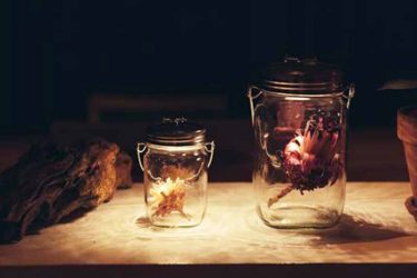 【ソネングラス】優しい光で空間をおしゃれに彩りませんか？